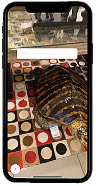 Augmented Reality in retail